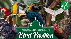 Keluyuran ke Rumah Para Burung di Bird Pavilion Bandung