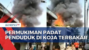 Kebakaran Melanda Permukiman Padat Penduduk di Koja, Jakarta Utara