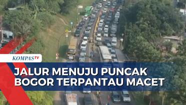 Urai Kemacetan Puncak Bogor, Polisi Berlakukan Sistem 'One Way'