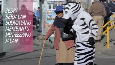 Polantas Zebra Selamatkan Hidup Warga La Paz