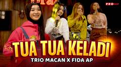 Fida AP x Trio macan - Tua Tua Keladi (Official Music Video)