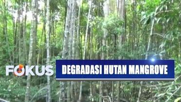 Pemerhati Lingkungan Khawatirkan Degradasi Mangrove di Calon Ibu Kota Baru Negara – Fokus