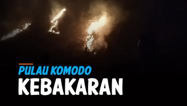 Pulau Komodo Kebakaran, 10 Hektar Lahan Hutan Hangus