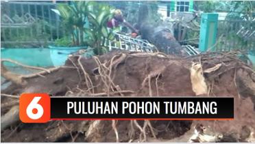 Hujan Angin Landa Lampung, Puluhan Pohon dan Tiang Listrik Roboh | Liputan 6