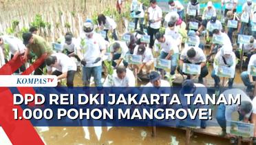 Wujudkan Jakarta Hijau, REI Estate DKI Jakarta Tanam 1.000 Pohon di Kawasan Ekowisata Mangrove PIK!