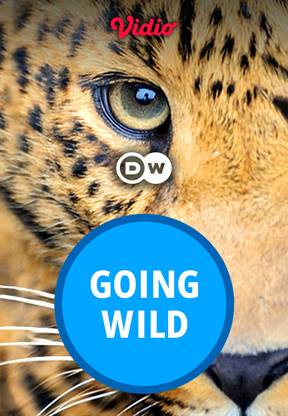 DW - Going Wild