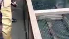 Heboh Video Penangkapan Pelaku Pesugihan Burung 'Beak' Rupanya Seorang Wanita