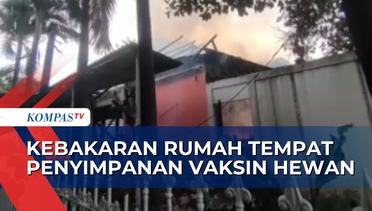 Kebakaran Rumah di Kompleks Dinas Peternakan Jawa Timur, 12 Mobil Damkar Diterjunkan!
