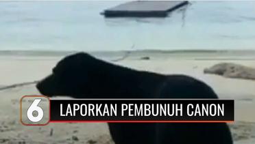 Koalisi Perlindungan Hewan Indonesia Laporkan Satpol PP Atas Kasus Kematian Anjing Canon | Liputan 6