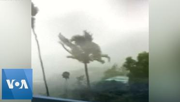 Trees Thrash Around Violently as Hurricane Dorian Hits US Virgin Islands