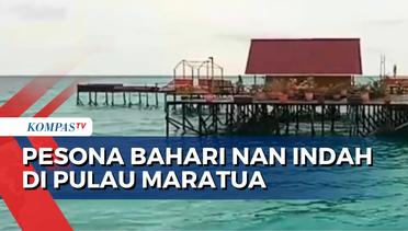 Pergi ke Kalimantan Timur? Jangan Lupa Nikmati Indahnya Wisata Bahari di Pulau Maratua!
