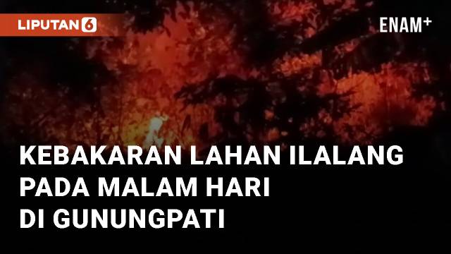 Viral Kebakaran Lahan Ilalang Pada Malam Hari di Sekaran Gunungpati