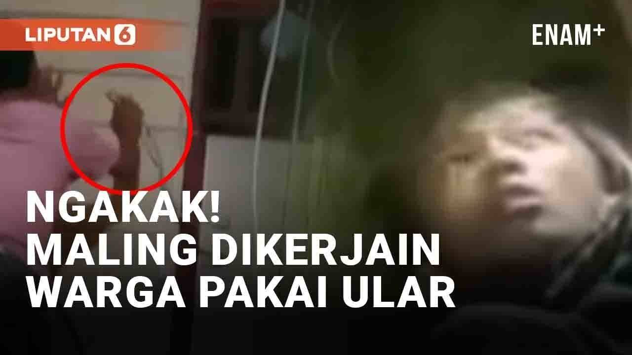 Ngakak! Maling Histeris Dikerjain Warga Pakai Ular Saat Terkurung - liputan6.com