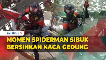 Aksi Spiderman Menclok di Gedung 12 Lantai Bersihkan Jendela Jadi Sorotan