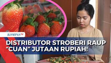 Berkenalan dengan Mayang, Distributor Stroberi di Banjarbaru yang Raup Cuan Jutaan Rupiah!