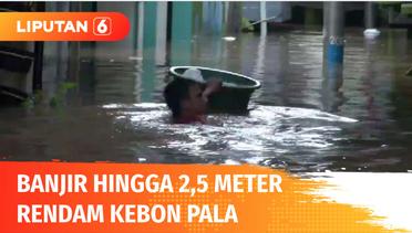 Sungai Ciliwung Meluap, Ratusan Rumah di Kebon Pala Terendam Banjir hingga 2,5 Meter | Liputan 6