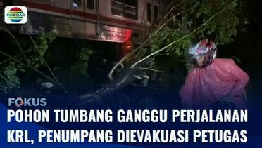 Pohon Tumbang Ganggu Perjalanan Kereta, Penumpang Dievakuasi Petugas | Fokus