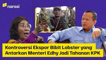Kontroversi Ekspor Bibit Lobster yang Antarkan Menteri Edhy Jadi Tahanan KPK