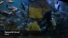 Seaworld Ancol-Jakarta