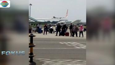 KNKT Investigasi Insiden Senggolan Lion Air dan Wings Air di Kualanamu - Fokus Pagi
