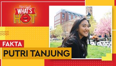 Fakta Putri Tanjung, Staf Khusus Presiden Termuda