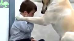 Video Kisah Nyata Cinta Sedih Mengharukan Video Kisah Nyata Anjing Setia Menyayangi Anak Idiot1 ( 480p )