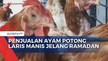 Penjualan Ayam Potong di Jeneponto Meningkat Drastis Jelang Ramadan!