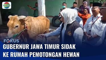 Gubernur Jawa Timur Khofifah Indar Sidak ke Rumah Pemotongan Hewan di Surabaya | Fokus