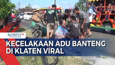 Kecelakaan Adu Banteng di Klaten, Pengendara Sepeda Motor Meninggal Dunia