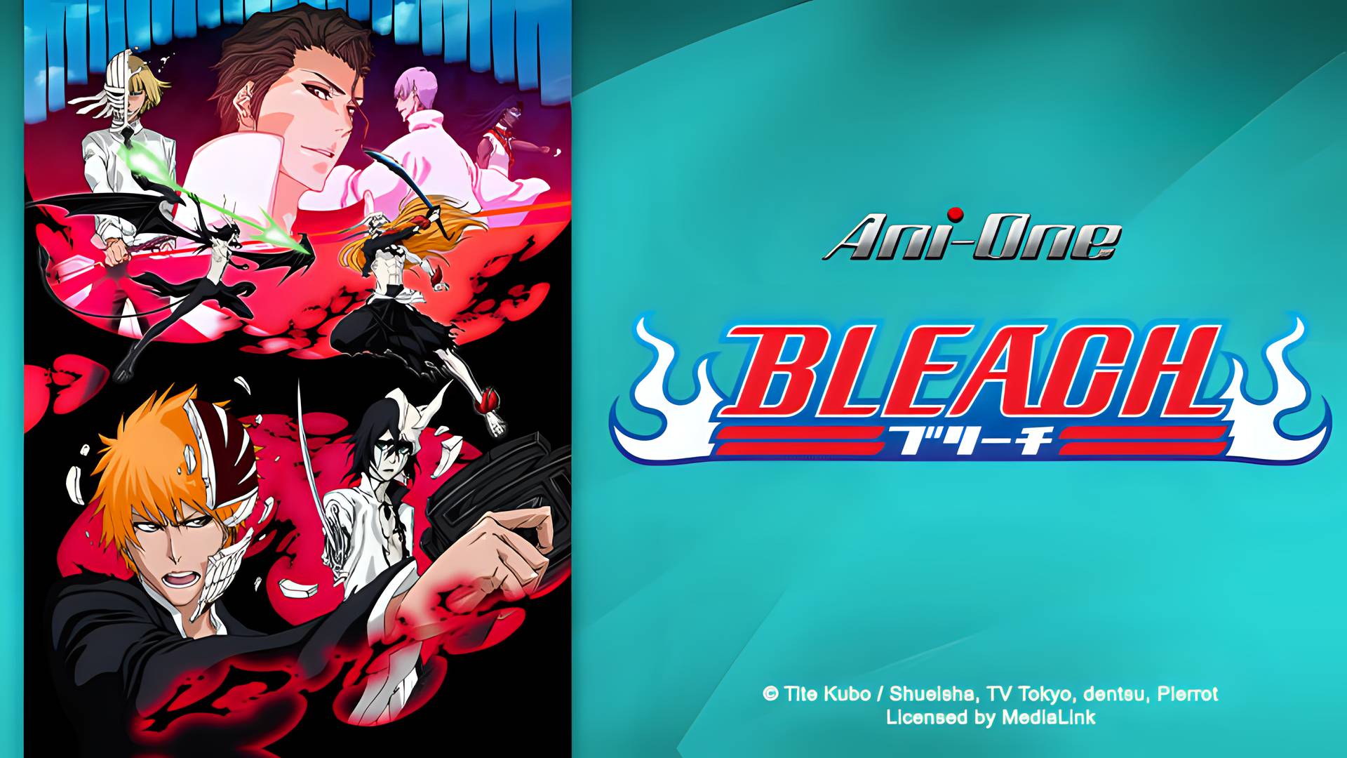 Bleach