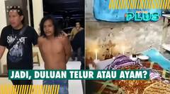 Tragis, Perdebatan Duluan Telur Atau Ayam Berujung Maut