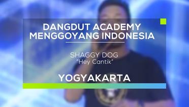 Shaggy Dog - Hey Cantik (DAMI 2016 - Yogyakarta)