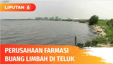 Misteri Air Parasetamol Terungkap, Perusahaan Farmasi Terbukti Buang Limbah di Teluk Jakarta | Liputan 6
