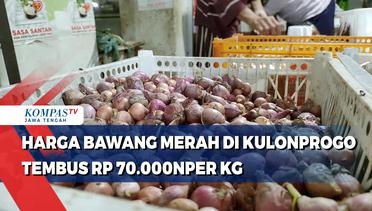Harga Bawang Merah di Kulon Progo Tembus Rp 70.000 Per Kg