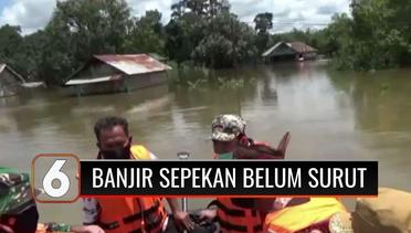 Sepekan Terendam Banjir, Warga di Kotawaringin Enggan Mengungsi Karena Takut Covid-19 | Liputan 6