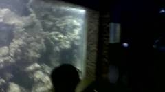 Aquarium Pantai Kartini