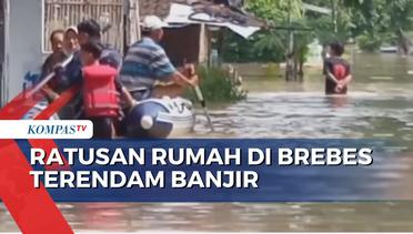 Sungai Pemali Meluap, Sedikitnya 400 Rumah di Brebes Terendam Banjir