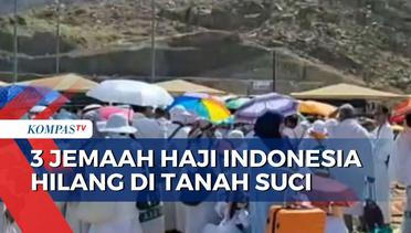 3 Jemaah Haji Indonesia Hilang, Tim Perlindungan Jemaah Sisir Arafah Hingga Mina