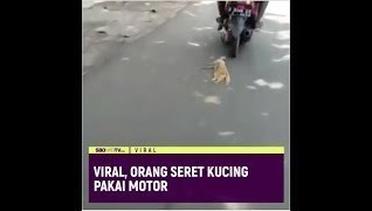 VIRAL ORANG SERET KUCING PAKAI MOTOR