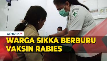 Berstatus KLB Rabies, Warga Sikka Berburu Vaksin