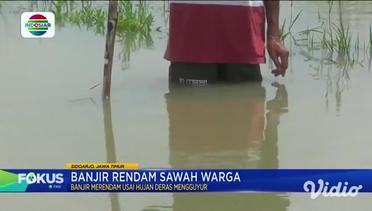 Banjir Rendam Sawah Warga