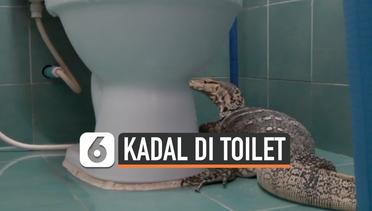 Bikin Shock, Kadal Muncul di Toilet Rumah Warga
