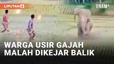 Viral Warga Usir Gajah Pakai Obor, Malah Dikejar Balik