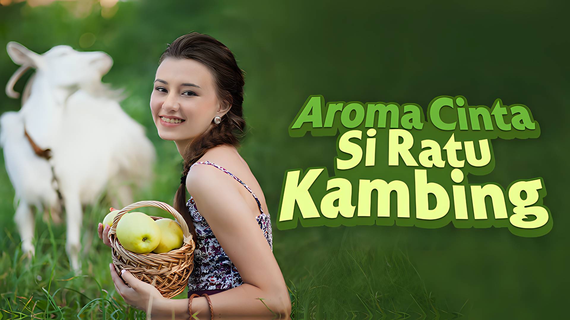 Aroma Cinta Si Ratu Kambing