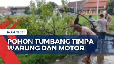 Pohon Tumbang di Cirebon, Warung dan Sepeda Motor Ringsek
