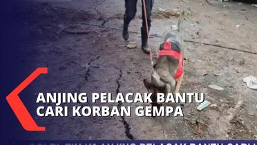 Polri Terjunkan 9 Anjing Pelacak Bantu Cari Korban Gempa Cianjur