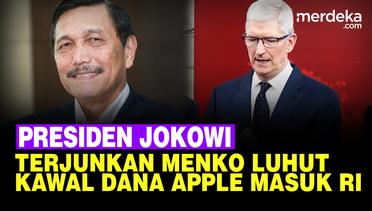 CEO Apple Tim Cook Janjikan Investasi Besar di RI, Jokowi Terjunkan Luhut