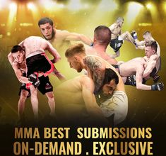 Most Painful MMA Submissions