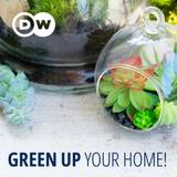 Green Up Your Home