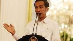 Lipsing Presiden Jokowi, Lucune Pooll